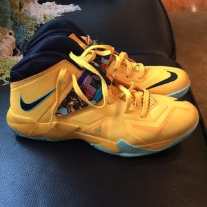 Lebron basketball shoe